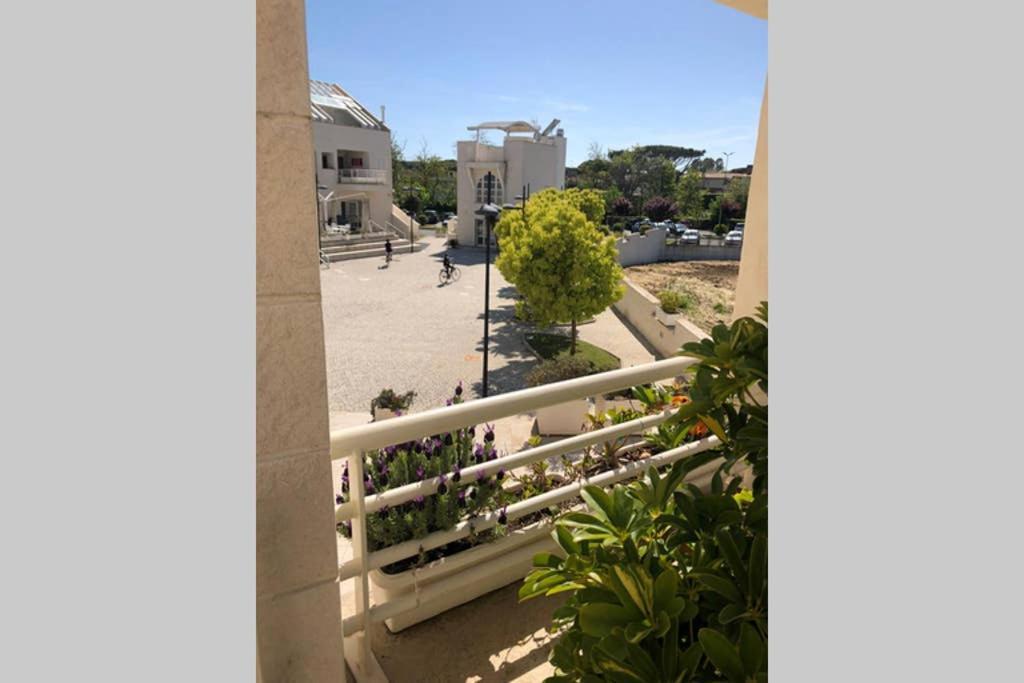 La Suite Sul Borgo Fregenae Bagian luar foto