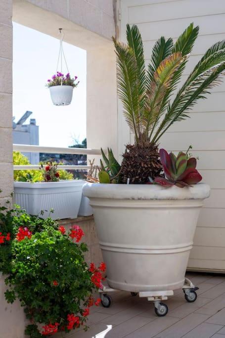 La Suite Sul Borgo Fregenae Bagian luar foto